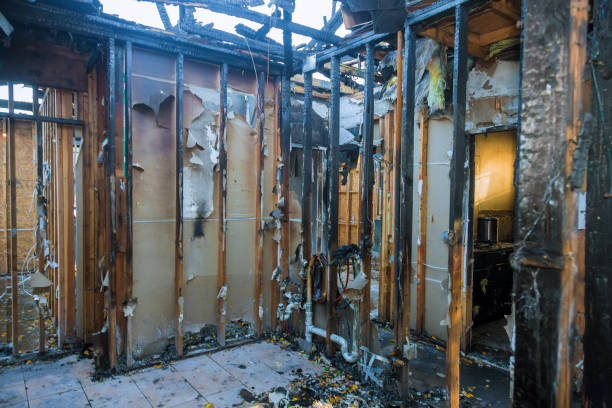 Professional Fire Damage Repair technician working in New Germany, MN